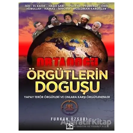 Örgütlerin Doğuşu - Furkan Özsarı - Çınaraltı Yayınları