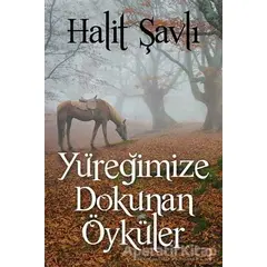 Yüreğimize Dokunan Öyküler - Halit Şavlı - Cinius Yayınları