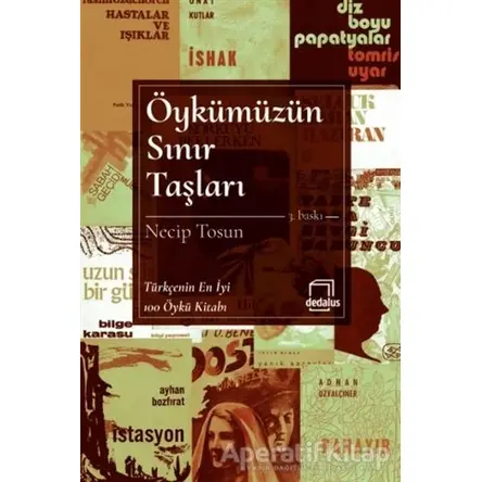 Öykümüzün Sınır Taşları - Necip Tosun - Dedalus Kitap