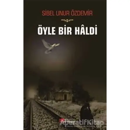 Öyle Bir Haldi - Sibel Unur Özdemir - Berikan Yayınevi