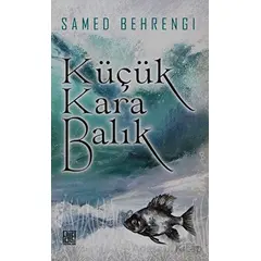 Küçük Kara Balık - Samed Behrengi - Palet Yayınları