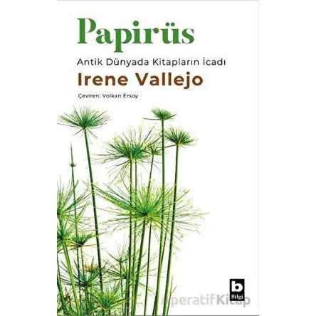 Papirüs - Irene Vallejo - Bilgi Yayınevi