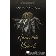 Haziranda Üşümek - Yahya Tanrıkulu - Parana Yayınları