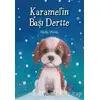 Karamelin Başı Dertte - Holly Webb - Pegasus Yayınları