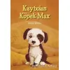 Kaybolan Köpek Max - Holly Webb - Pegasus Yayınları