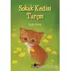 Sokak Kedisi Tarçın - Holly Webb - Pegasus Yayınları