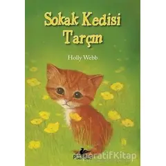 Sokak Kedisi Tarçın - Holly Webb - Pegasus Yayınları