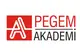 Pegem Akademi Yayınları