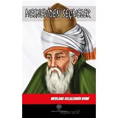 Mesneviden Seçmeler - Mevlana Celaleddin Rumi - Platanus Publishing