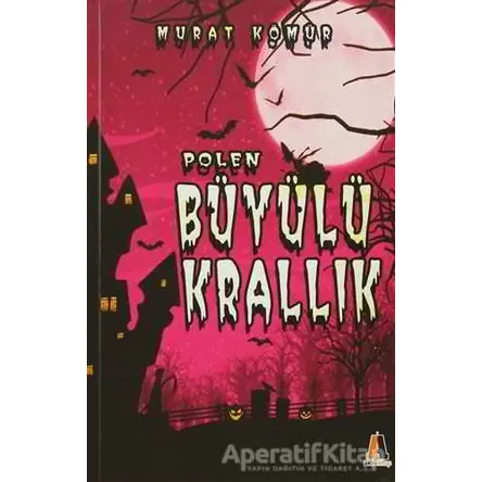 Polen ve Büyülü Krallık - Murat Kömür - Akis Kitap