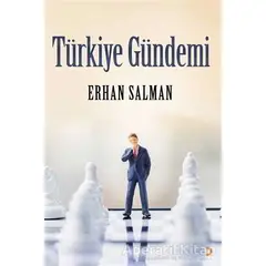 Türkiye Gündemi - Erhan Salman - Cinius Yayınları