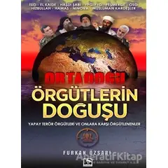 Örgütlerin Doğuşu - Furkan Özsarı - Çınaraltı Yayınları