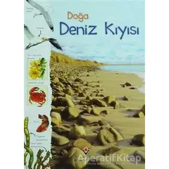 Doğa: Deniz Kıyısı - Sarah Courtauld - TÜBİTAK Yayınları