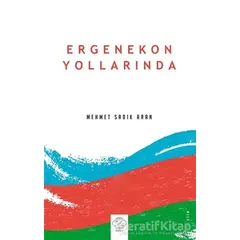 Ergenekon Yollarında - Mehmet Sadık Aran - Post Yayınevi