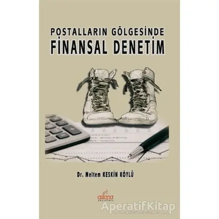 Postalların Gölgesinde Finansal Denetim - Meltem Keskin Köylü - Astana Yayınları