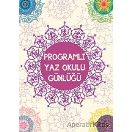 Programlı Yaz Okulu Günlüğü - Kolektif - Multibem Yayınları