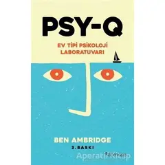 PSY-Q - Ben Ambridge - Domingo Yayınevi