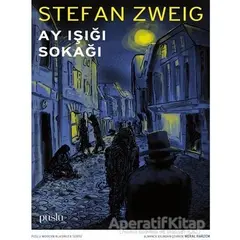 Ay Işığı Sokağı - Stefan Zweig - Puslu Yayıncılık