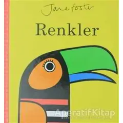 Renkler - Jane Foster - Redhouse Kidz Yayınları