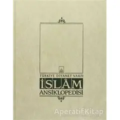 İslam Ansiklopedisi Cilt: 19 - Kolektif - Türkiye Diyanet Vakfı Yayınları
