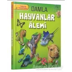 Soru ve Cevaplarla Hayvanlar Alemi - Kolektif - Damla Yayınevi