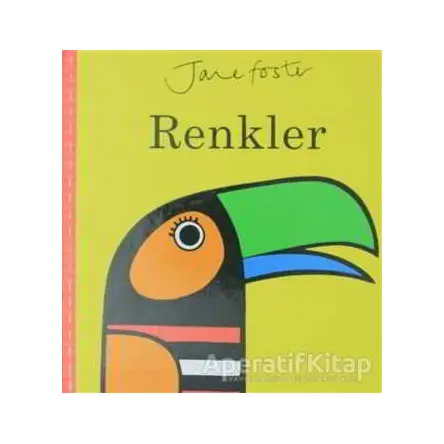 Renkler - Jane Foster - Redhouse Kidz Yayınları