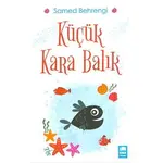 Küçük Kara Balık - Samed Behrengi - Ema Kitap