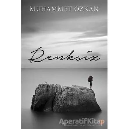 Renksiz - Muhammet Özkan - Cinius Yayınları