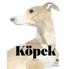 Köpek Kitabı: Resim Sanatında Köpekler - Angus Hyland - Hep Kitap