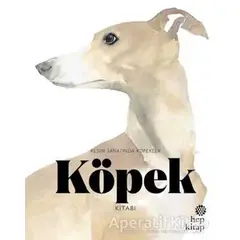 Köpek Kitabı: Resim Sanatında Köpekler - Angus Hyland - Hep Kitap