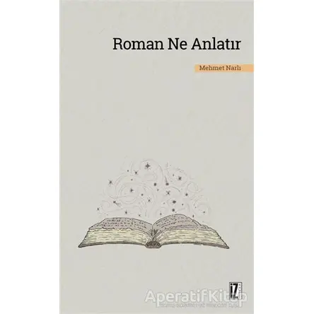 Roman Ne Anlatır - Mehmet Narlı - İz Yayıncılık
