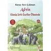 Advin Gümüş Sırtlı Goriller Ülkesinde - Koray Avcı Çakman - Kırmızı Kedi Çocuk