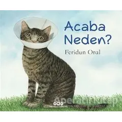 Acaba Neden? - Feridun Oral - Yapı Kredi Yayınları