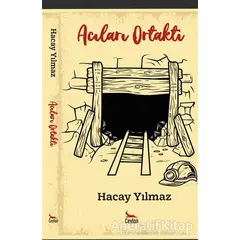 Acıları Ortaktı - Hacay Yılmaz - Ceylan Yayınları