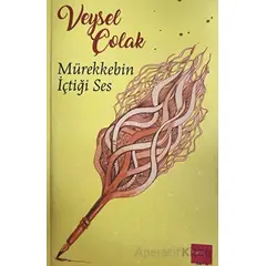 Mürekkebin İçtiği Ses - Veysel Çolak - Kaos Çocuk Parkı Yayınları