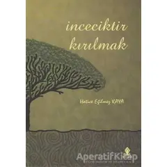 İnceciktir Kırılmak - Hatice Eğilmez Kaya - Roza Yayınevi