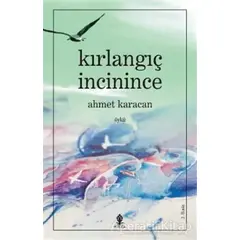 Kırlangıç İncinince - Ahmet Karacan - Roza Yayınevi