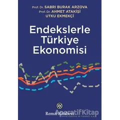 Endekslerle Türkiye Ekonomisi - S. Burak Arzova - Remzi Kitabevi