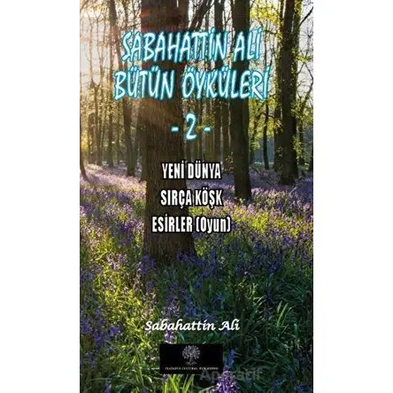 Sabahattin Ali Bütün Öyküleri 2 - Sabahattin Ali - Platanus Publishing