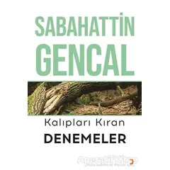 Kalıpları Kıran Denemeler - Sabahattin Gencal - Cinius Yayınları