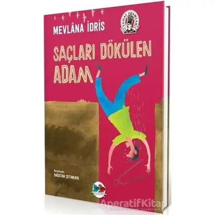 Saçları Dökülen Adam - Mevlana İdris - Vak Vak Yayınları