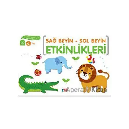 Sağ Beyin - Sol Beyin Etkinlikleri (4 Yaş) - Elif Konar - Minik Ada