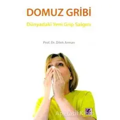 Domuz Gribi - Dilek Arman - Efil Yayınevi