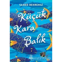 Küçük Kara Balık - Samed Behrengi - İthaki Çocuk Yayınları