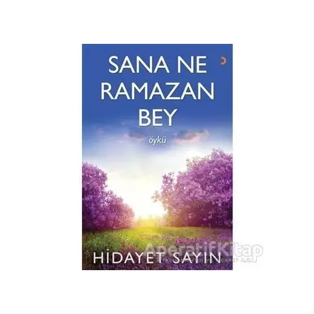 Sana Ne Ramazan Bey - Hidayet Sayın - Cinius Yayınları