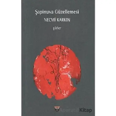 Şapinuva Güzellemesi - Necmi Karkın - Bilgin Kültür Sanat Yayınları