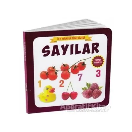 Sayılar - İlk Bilgilerim Dizisi - Kolektif - Çocuk Gezegeni