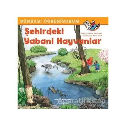 Şehirdeki Yabani Hayvanlar - Dünyayı Öğreniyorum - Annette Neubauer - İş Bankası Kültür Yayınları