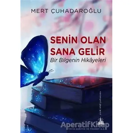 Senin Olan Sana Gelir - Mert Çuhadaroğlu - Yitik Ülke Yayınları