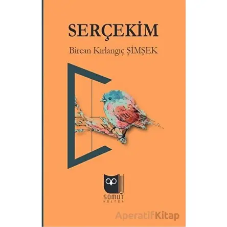 Serçekim - Bircan Kırlangıç Şimşek - Somut Yayınları